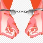 पुलिस हो तो भीलवाड़ा जैसी, वाह ,गोवंश से कुकृत्य के आरोपी को बांग्लादेश बॉर्डर से किया  गिरफ्तार