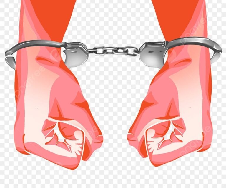 पुलिस हो तो भीलवाड़ा जैसी, वाह ,गोवंश से कुकृत्य के आरोपी को बांग्लादेश बॉर्डर से किया  गिरफ्तार