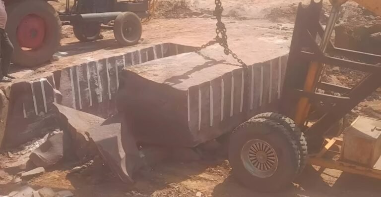 भाजपा विधायक के भतीजे ने किया सरकारी भूमि पर अवैध खनन